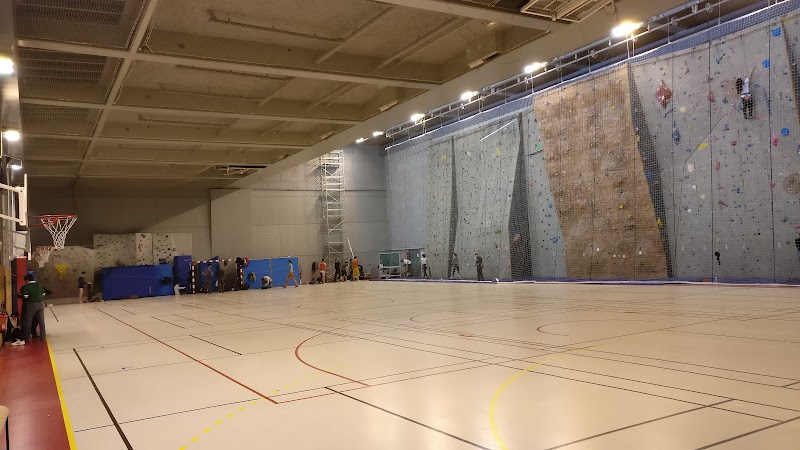 Gymnase Alice Milliat - Photo principale