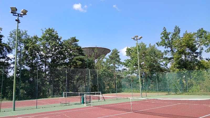 Tennis Club du Fort - Photo principale