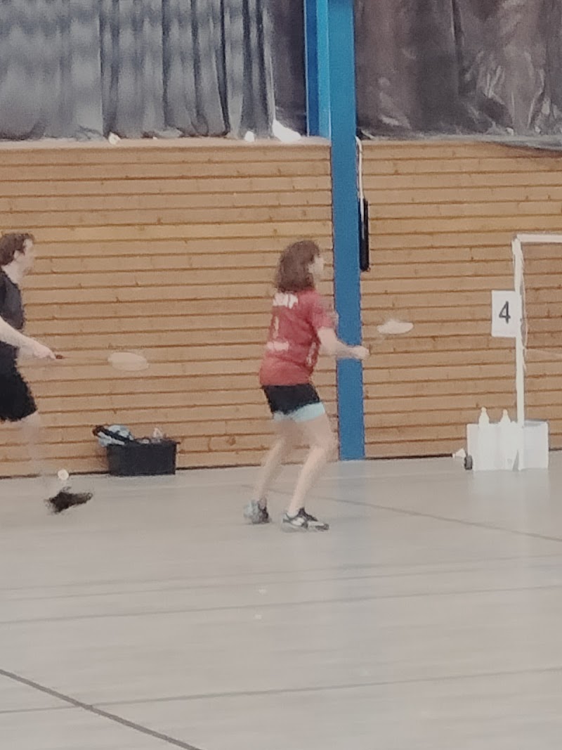 Saint-Jean Badminton Club - Photo principale