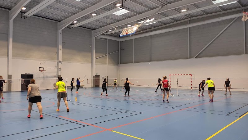 Lescure Badminton Club - Photo principale