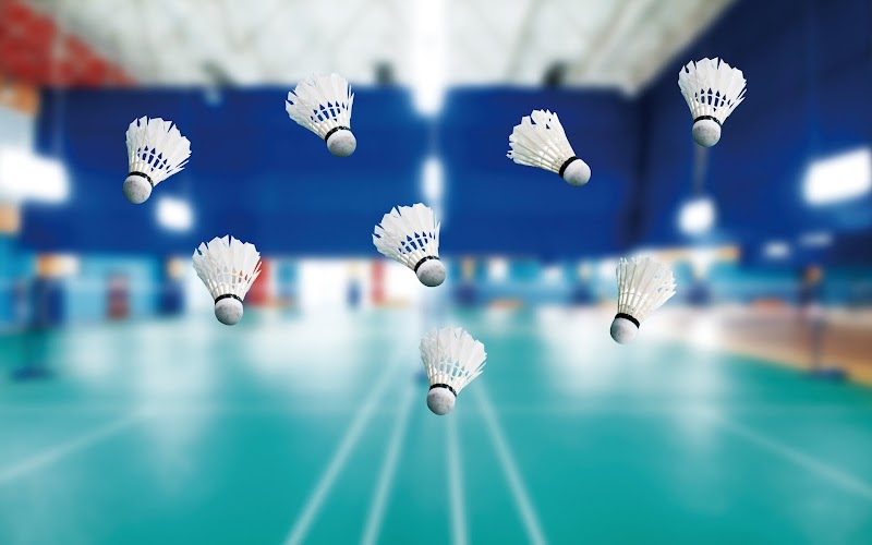 Ligue Nouvelle-Aquitaine de Badminton - Photo principale