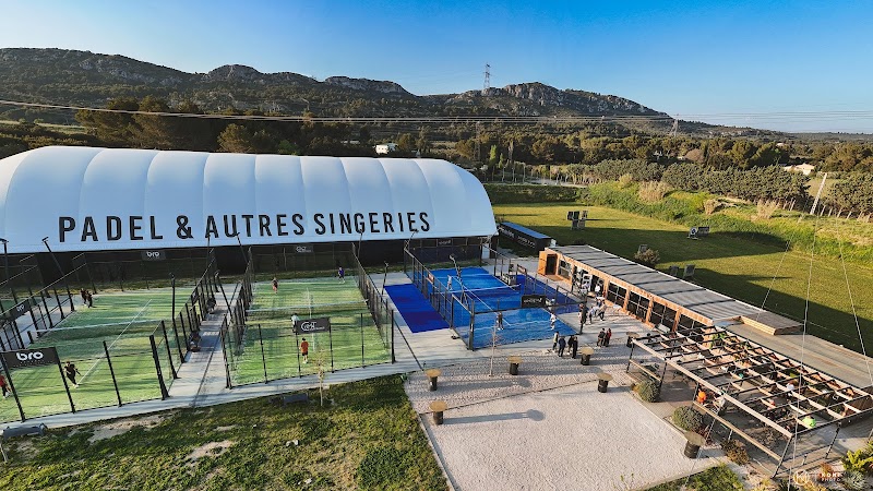 The Monkey Padel - Photo principale