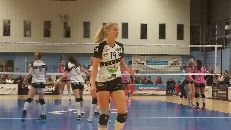 La Halle des sports - Photo 4