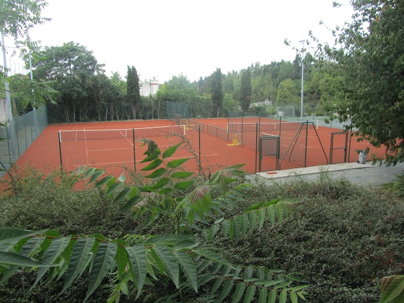 Comité départemental de Tennis des Deux-Sèvres - Photo principale