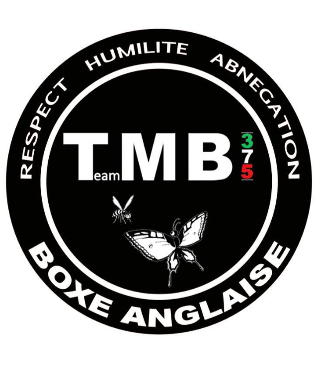 Team MB 375