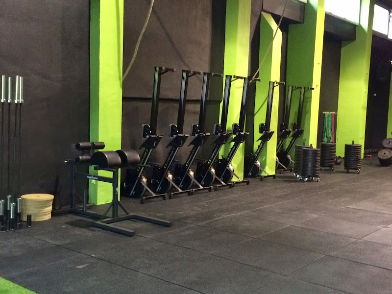 CrossFit Castres - Centre de santé par le sport - Photo 4