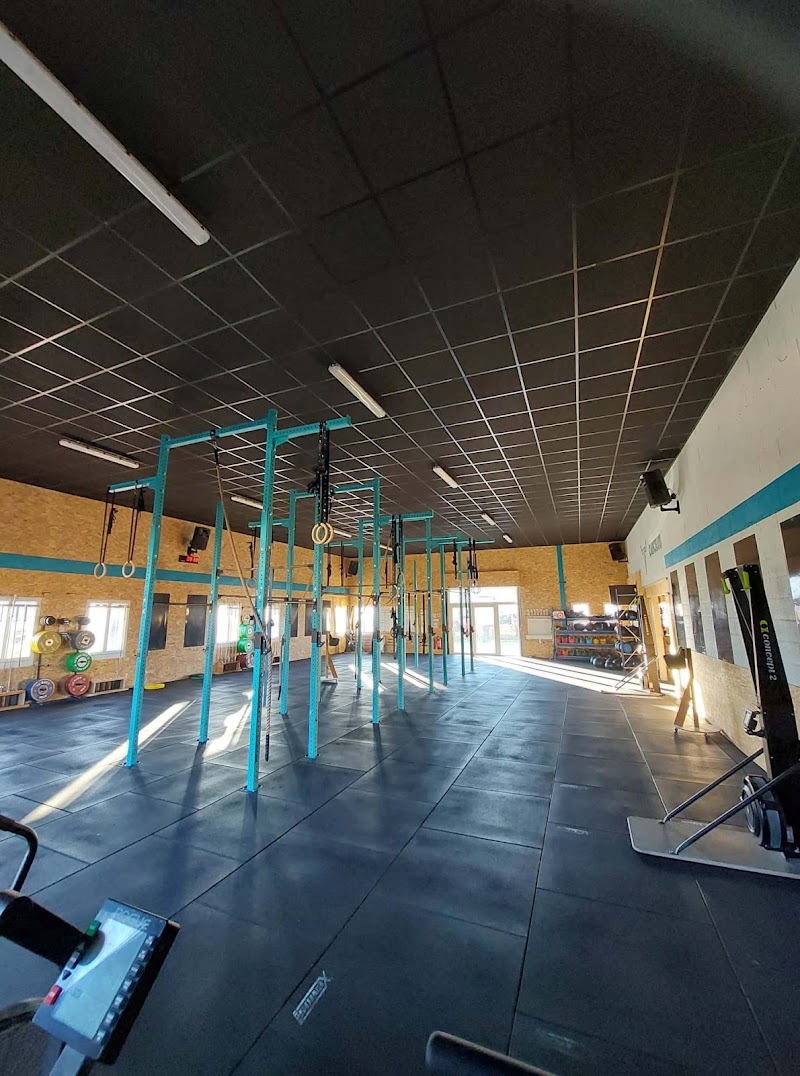 Caecilus Functional Fitness - Albi
