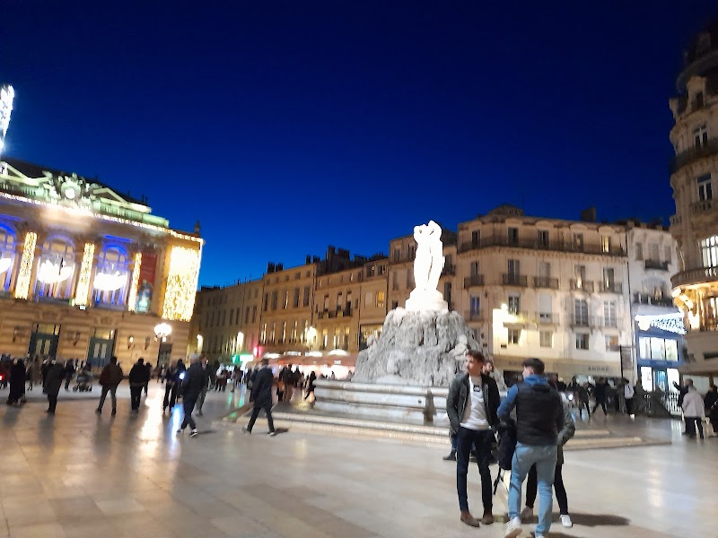 MONTPELLIER