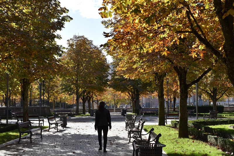 Jardin National - Photo 4