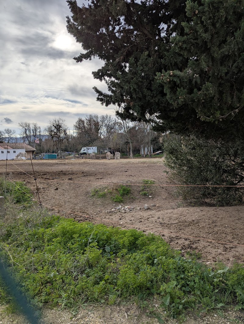 T.C CHATEAU-GOMBERT - Photo principale