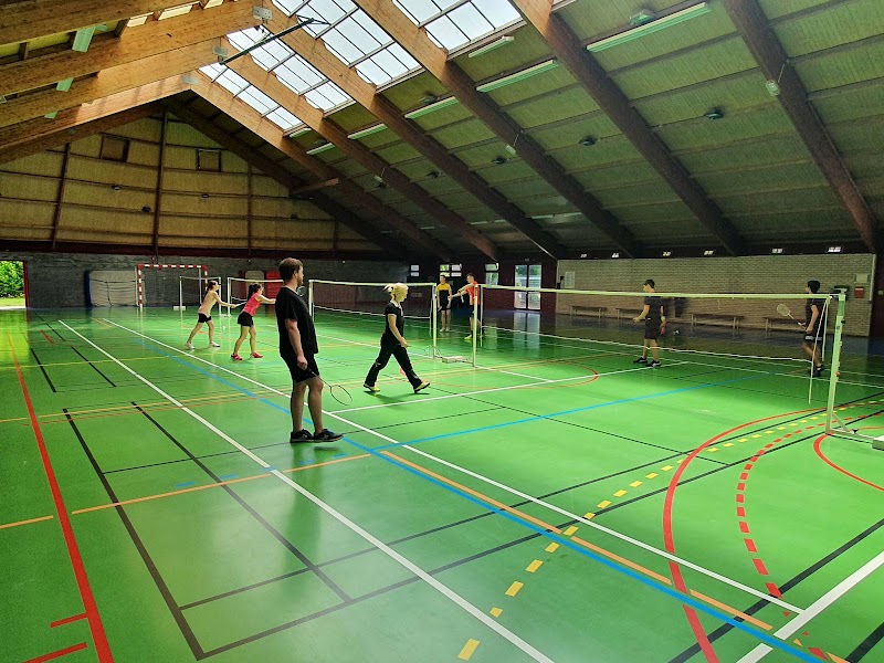 O.S.M.L Badminton - Photo principale