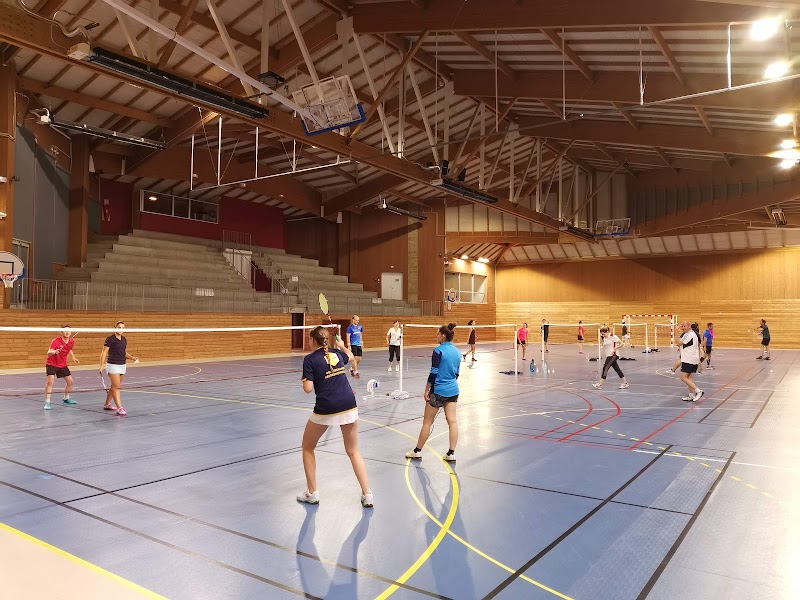 Badminton Olympique de Pernes les Fontaines - Photo principale