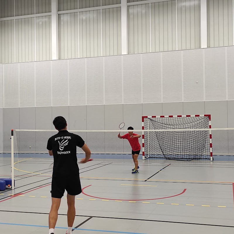 BSG Badminton - Photo principale