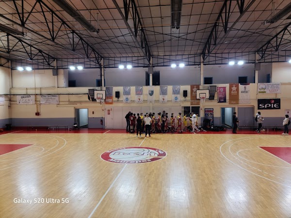Gymnase Malmedonne