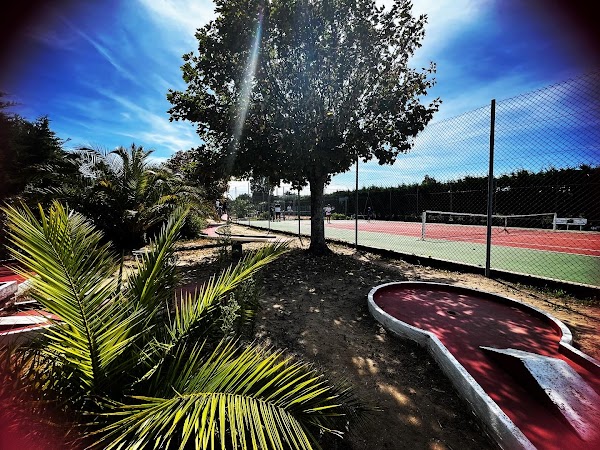Tennis Club Ars en Ré - Photo principale