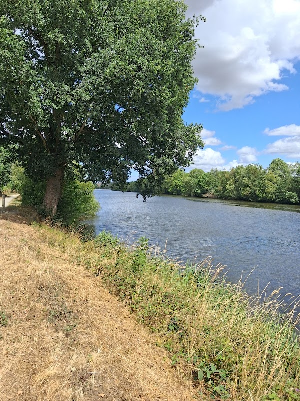 Ancienne de Château-Gontier - Photo principale