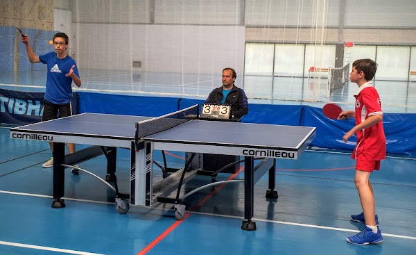 Alsem Tennis de Table