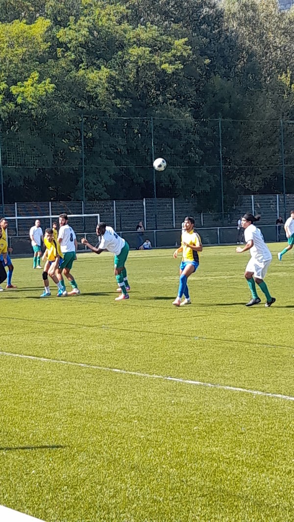 Complexe sportif Louis Maisonnat
