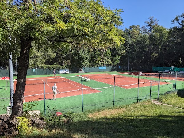 Tennis Wien - TCV 2013 - Photo principale